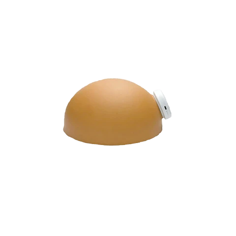 Medical Devices